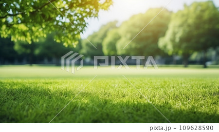 Green lawn and trees background with copyspace....のイラスト素材 [109628590 ...