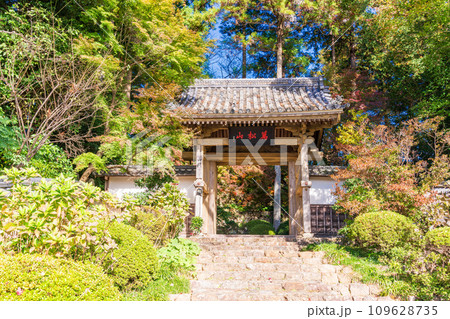 (静岡県)秋の龍潭寺(りょうたんじ)・山門(総門) (静岡県)秋の龍潭寺(りょうたんじ)・山門(総門) 109628735
