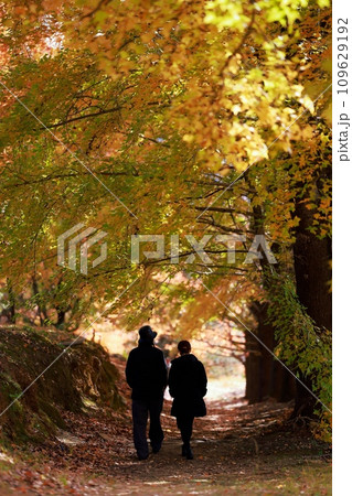 紅葉の中をデートする 109629192