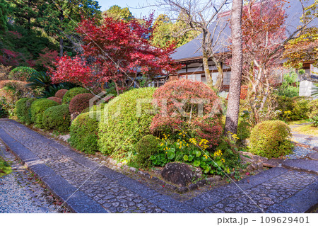 （静岡県）龍潭寺（りょうたんじ）・本堂・庭園 109629401