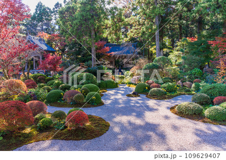 (静岡県)龍潭寺(りょうたんじ)・本堂・庭園 (静岡県)龍潭寺(りょうたんじ)・本堂・庭園 109629407
