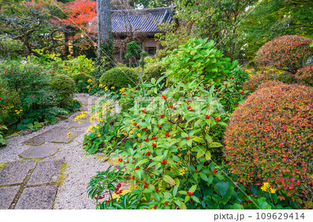 （静岡県）龍潭寺（りょうたんじ）・本堂・庭園 109629414