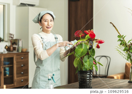 観葉植物の手入れをするエプロン姿の女性 109629516