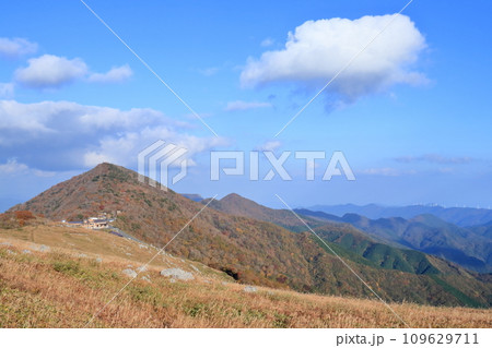 秋の天狗高原 (高知県 津野町) 秋の天狗高原 (高知県 津野町) 109629711