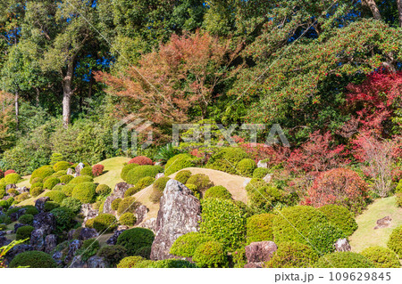 （静岡県）龍潭寺（りょうたんじ）庭園 109629845