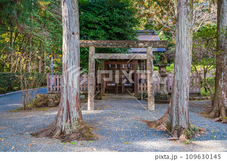 （静岡県）井伊谷宮・摂社　井伊社 109630145