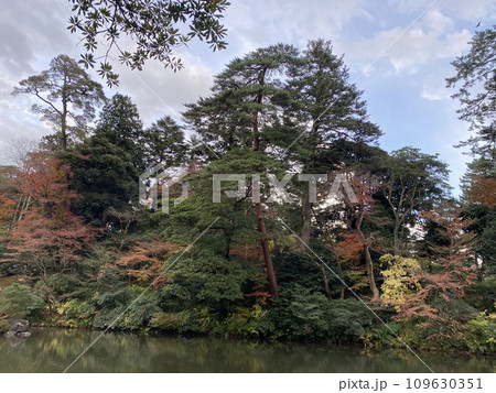 秋の日本庭園 109630351