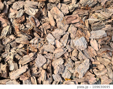 Tree bark mulch on the ground background 109630695