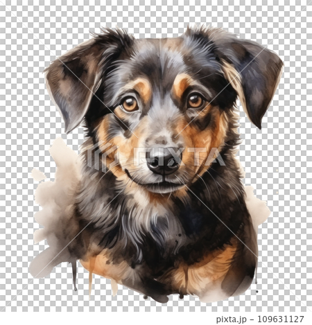 cute watercolor dog with heart isolated cute watercolor dog with heart isolated 109631127