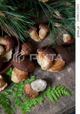 Imleria Badia or Boletus badius mushrooms commonly known as the bay bolete and Porcini mushroom commonly known as Boletus Edulis, clay bowl with mushrooms on vintage wooden background.. Imleria Badia or Boletus badius mushrooms commonly known as the bay bolete and Porcini mushroom commonly known as Boletus Edulis, clay bowl with mushrooms on vintage wooden background.. 109631501