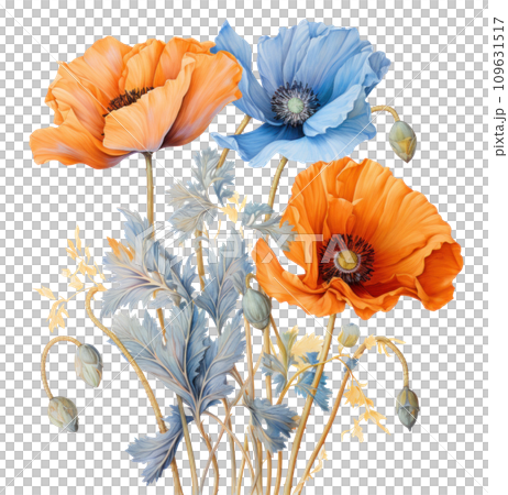 an illustration of orange and blue poppies 109631517