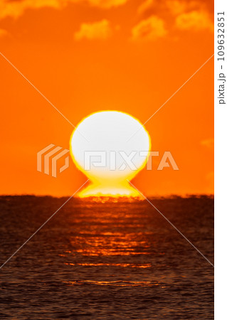 だるま朝日 109632851