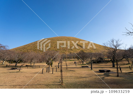 さくらの里から見る晩秋の大室山 静岡県 伊東市 109633259