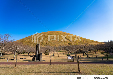 さくらの里から見る晩秋の大室山 静岡県 伊東市 さくらの里から見る晩秋の大室山 静岡県 伊東市 109633261