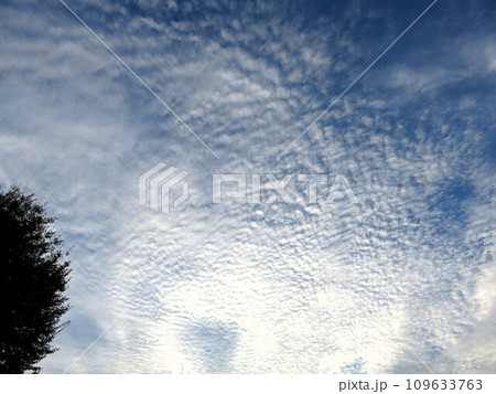 秋の空 なみなみ雲 秋の空 なみなみ雲 109633763