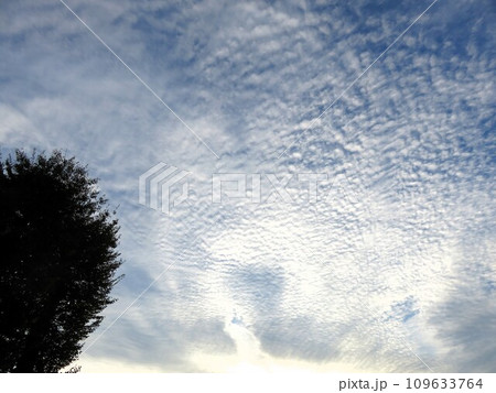 秋の空　なみなみ雲 109633764