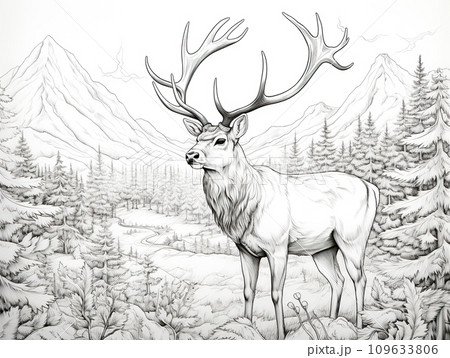 Black and white illustration coloring book. Mountain deer. Reindeer coloring page. Stylized deer. Black and white illustration coloring book. Mountain deer. Reindeer coloring page. Stylized deer. 109633806