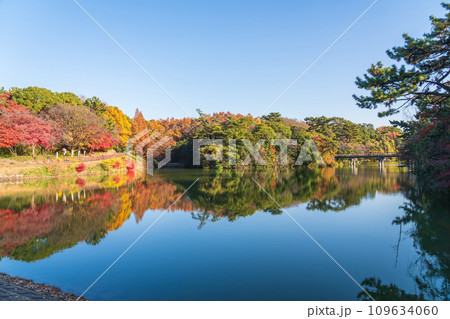 秋の聚楽園公園〈愛知県東海市〉 109634060