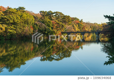 秋の聚楽園公園〈愛知県東海市〉 109634068