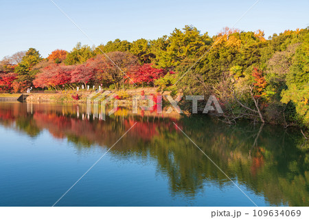 秋の聚楽園公園〈愛知県東海市〉 109634069
