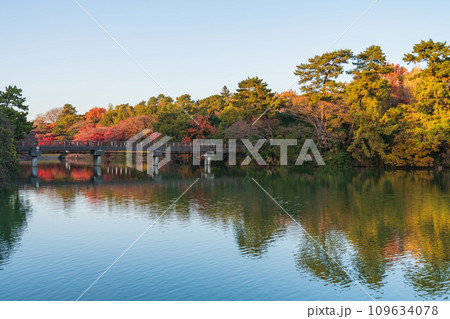秋の聚楽園公園〈愛知県東海市〉 109634078