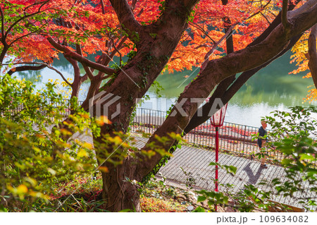 秋の聚楽園公園〈愛知県東海市〉 109634082