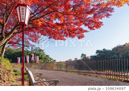 秋の聚楽園公園〈愛知県東海市〉 秋の聚楽園公園〈愛知県東海市〉 109634097