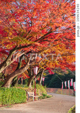 秋の聚楽園公園〈愛知県東海市〉 109634140