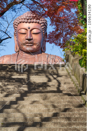 秋の聚楽園公園、聚楽園大仏〈愛知県東海市〉 秋の聚楽園公園、聚楽園大仏〈愛知県東海市〉 109634190