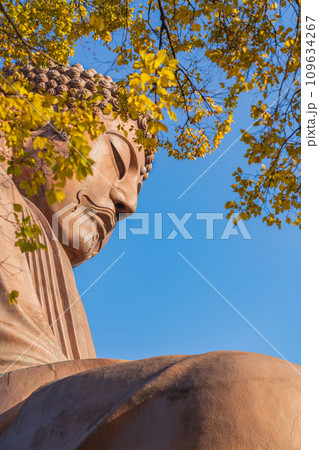 秋の聚楽園公園、聚楽園大仏〈愛知県東海市〉 109634267