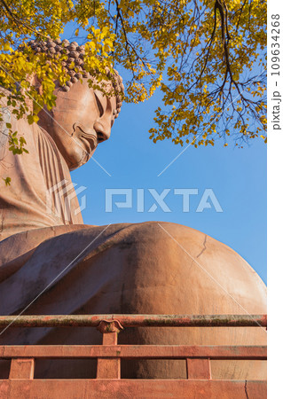 秋の聚楽園公園、聚楽園大仏〈愛知県東海市〉 秋の聚楽園公園、聚楽園大仏〈愛知県東海市〉 109634268