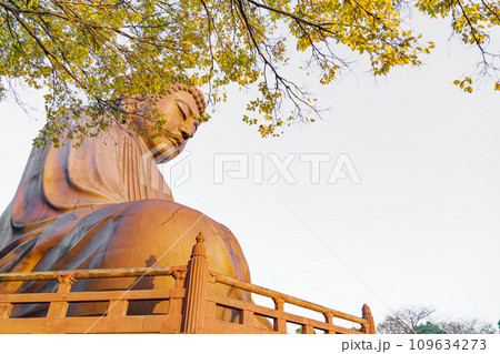 秋の聚楽園公園、聚楽園大仏〈愛知県東海市〉 秋の聚楽園公園、聚楽園大仏〈愛知県東海市〉 109634273
