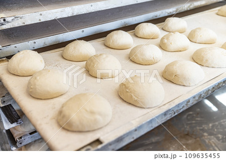 Conveyor with ball dough Conveyor with ball dough 109635455