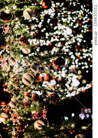 クリスマスイメージ クリスマスイメージ 109635552