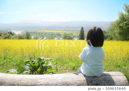 菜の花と子供 菜の花と子供 109635640