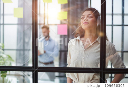 Smiling business woman looking out the window. Smiling business woman looking out the window. 109636305