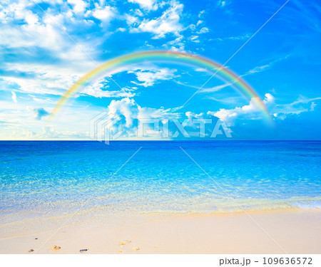 きれいな南国の海 109636572