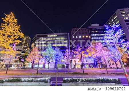 大阪市中央区　御堂筋のイルミネーション 109636792