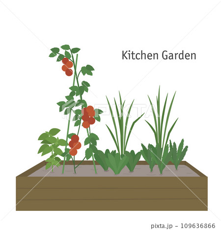 家庭菜園 109636866