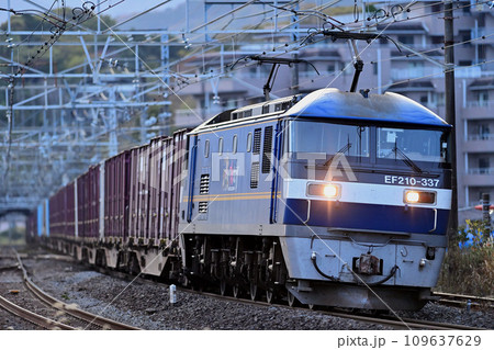 東海道本線　真鶴　JR貨物　EF210-337（吹田） 109637629