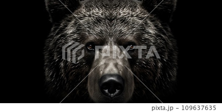 grizzly bear head 109637635