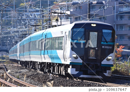 東海道本線　真鶴　JR東日本　E257系2500番台　NC-33編成（大宮）　踊り子 109637647