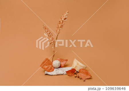 Autumn composition of dried flowers on orange background with copy space. Autumn card thanksgiving, fall decoration 109639646