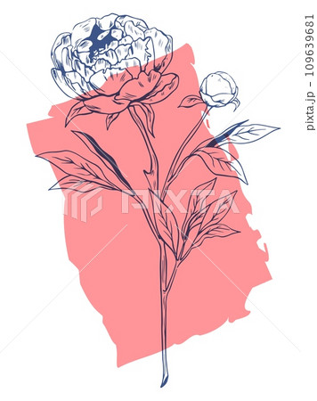 Single vector peony flower riso print effect isolated on white background Single vector peony flower riso print effect isolated on white background 109639681