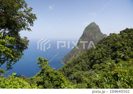 Tet Paul Nature Trail on St Lucia 109640502