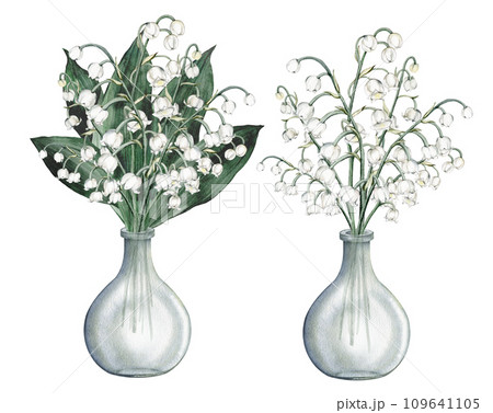Watercolor arrangement with bouquets of delicate spring lilies of the valley. Design for printing postcards, invitations to spring and summer holidays. isolated white spring flowers hand drawn Watercolor arrangement with bouquets of delicate spring lilies of the valley. Design for printing postcards, invitations to spring and summer holidays. isolated white spring flowers hand drawn 109641105
