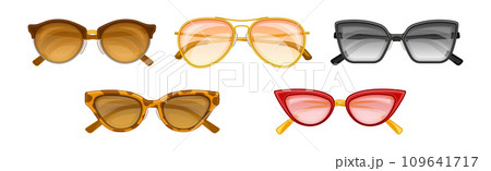 Fashionable Sunglasses of Different Shape and Color Vector Set 109641717