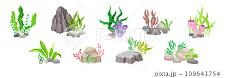Sea Stones with Seaweeds and Algae Vector Composition Set 109641754