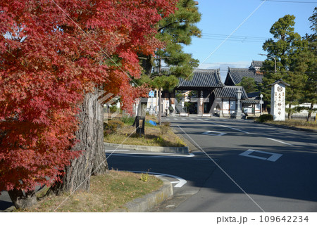 秋の妙心寺 参道の紅葉と南総門 京都市右京区花園 秋の妙心寺 参道の紅葉と南総門 京都市右京区花園 109642234