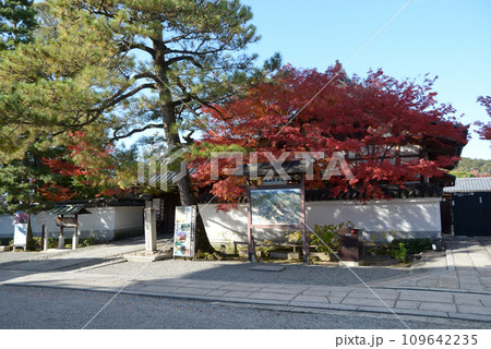 秋の妙心寺　退蔵院　京都市右京区花園 109642235